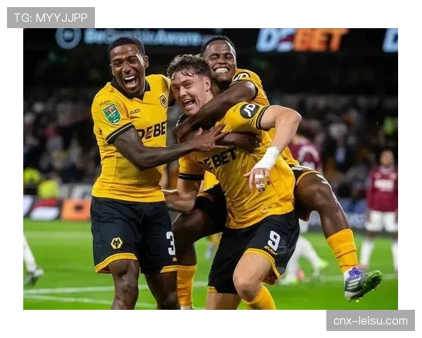 富勒姆冬窗操作评级B 针对性补强符合中游球队定位